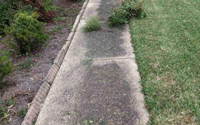 Photo of Rhonda M.'s yard after getting landscaping in Jay, FL