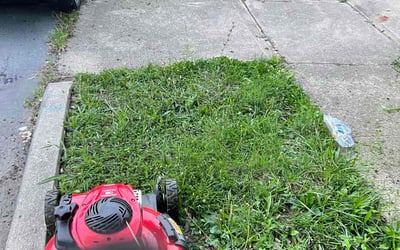 Photo of Betty S.'s yard after getting landscaping in Verona, KY