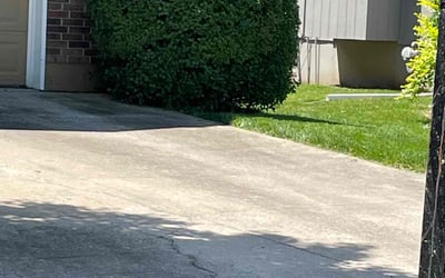 Photo of Adam A.'s yard after getting landscaping in Cleveland, MO