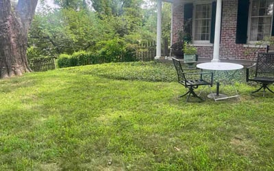 Photo of Lisa B.'s yard after getting landscaping in Saint Charles, MO