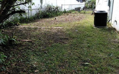 Photo of Will D.'s yard after getting landscaping in Intercession City, FL