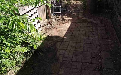 Photo of Lee S.'s yard after getting landscaping in Rio Vista, TX