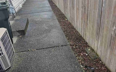 Photo of John R.'s yard after getting landscaping in Puyallup, WA