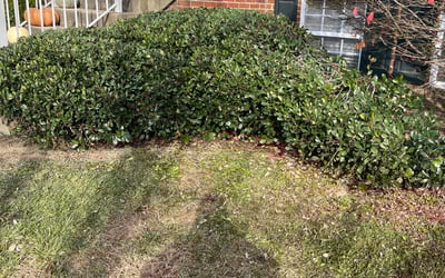 Photo of Stephen B.'s yard after getting landscaping in Summit Point, WV