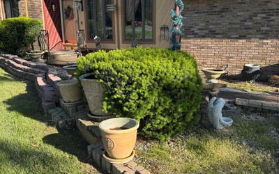 Photo of Timothy P.'s yard after getting landscaping in Bluffton, IN
