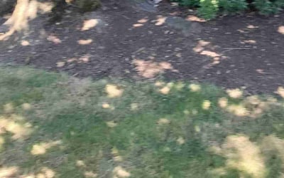 Photo of Erin S.'s yard after getting landscaping in Scappoose, OR