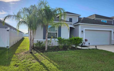 Photo of Kimberly J.'s yard after getting tree care in Haines City, FL