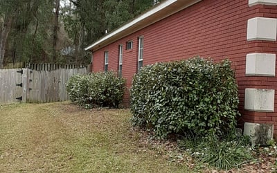Photo of Michelle A.'s yard after getting landscaping in Sopchoppy, FL