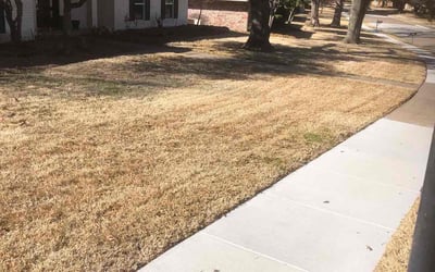 Photo of Carly C.'s yard after getting landscaping in Maypearl, TX