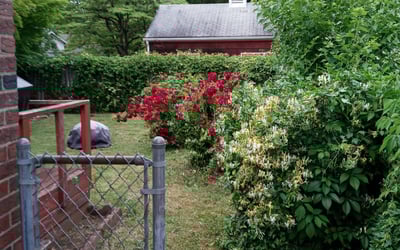 Photo of Ralph R.'s yard after getting landscaping in Feasterville Trevose, PA