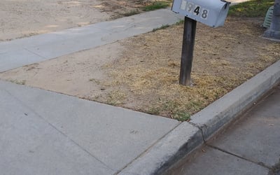 Photo of Jeanine P.'s yard after getting landscaping in Kerman, CA