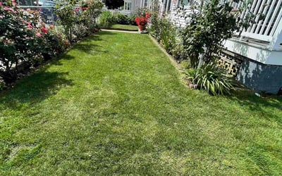 Photo of Liz M.'s yard after getting landscaping in North Dartmouth, MA