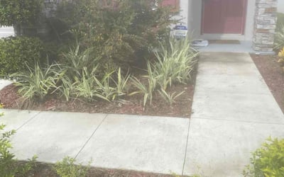 Photo of Jennifer A.'s yard after getting tree care in Haines City, FL