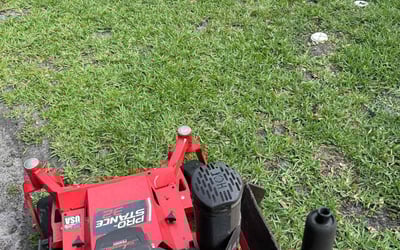 Photo of Teresita F.'s yard after getting tree care in Neptune Beach, FL