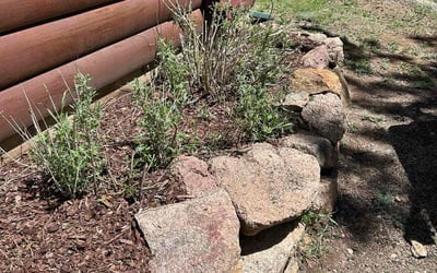 Photo of Brandon L.'s yard after getting landscaping in Carbondale, CO