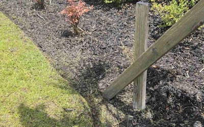 Photo of Michael P.'s yard after getting landscaping in Pooler, GA