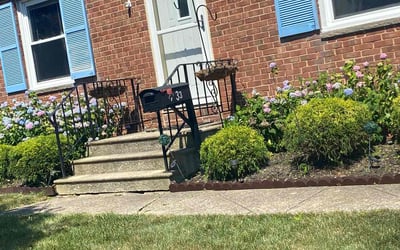 Photo of Alfreda M.'s yard after getting tree care in Willoughby, OH