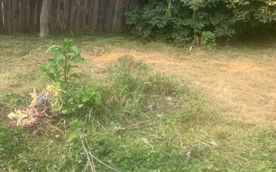 Photo of Andrew M.'s yard after getting landscaping in Lockbourne, OH