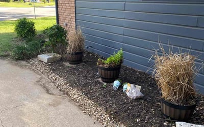 Photo of Beverly M.'s yard after getting landscaping in Bridgeport, TX