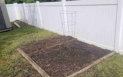 Photo of Tevran G.'s yard after getting tree care in Hampton, VA