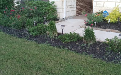 Photo of Leonard D.'s yard after getting landscaping in Cat Spring, TX