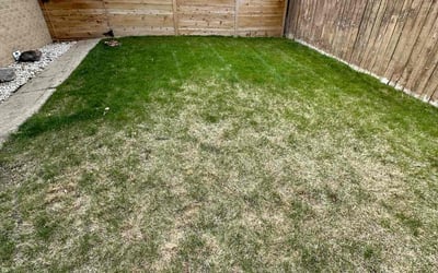 Photo of Christina A.'s yard after getting landscaping in Fairplay, CO