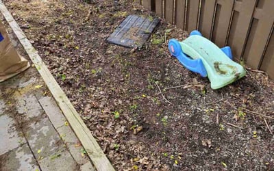 Photo of Wesley H.'s yard after getting landscaping in Ashburn, VA