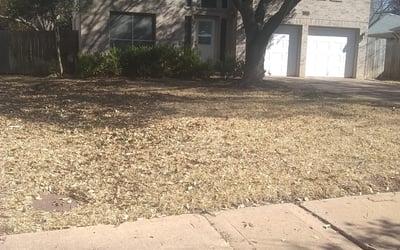 Photo of Don P.'s yard after getting landscaping in Smithville, TX