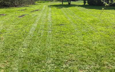 Photo of Michael C.'s yard after getting landscaping in Middletown, CT