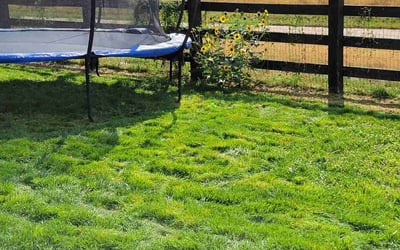 Photo of Brandon M.'s yard after getting landscaping in Rollinsville, CO