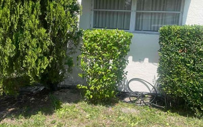 Photo of Julia L.'s yard after getting landscaping in Lake Worth, FL