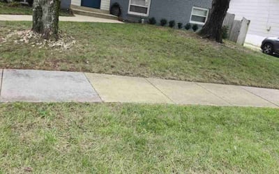 Photo of Carlos P.'s yard after getting landscaping in Summit Point, WV