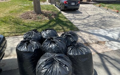 Photo of Daniel F.'s yard after getting landscaping in Grant, CO