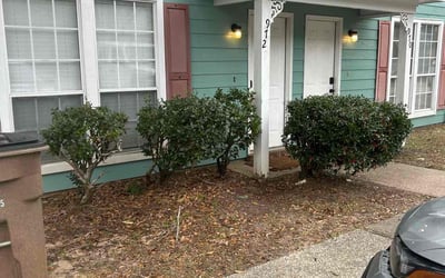 Photo of Josh F.'s yard after getting landscaping in Saraland, AL
