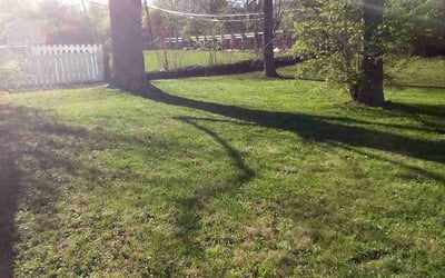 Photo of Victoria A.'s yard after getting tree care in La Porte, IN