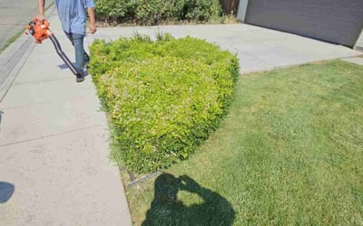 Photo of Jamie S.'s yard after getting landscaping in Kuna, ID