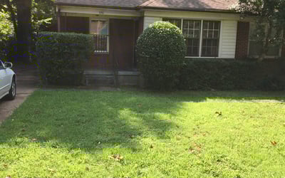 Photo of David A.'s yard after getting landscaping in Coldwater, MS