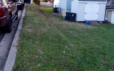 Photo of Tammy K.'s yard after getting landscaping in Huntly, VA