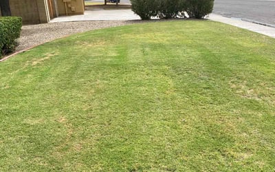 Photo of Curtis S.'s yard after getting landscaping in Sun City West, AZ