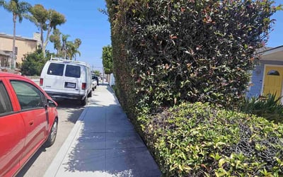 Photo of James G.'s yard after getting landscaping in Malibu, CA