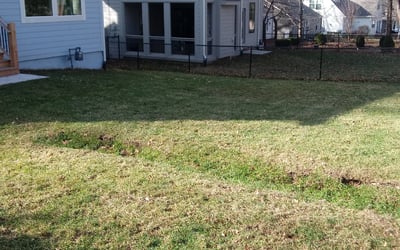 Photo of Mario P.'s yard after getting landscaping in Louisburg, KS