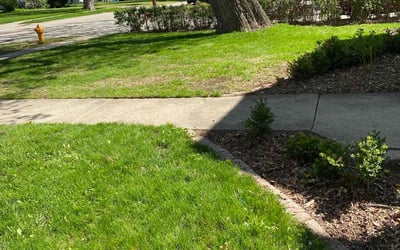 Photo of Jessica P.'s yard after getting landscaping in Oshkosh, WI