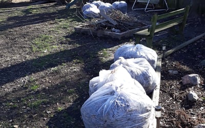 Photo of Danielle H.'s yard after getting landscaping in Maple, NC