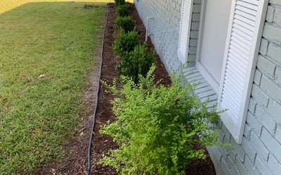 Photo of Quincy J.'s yard after getting landscaping in Geismar, LA