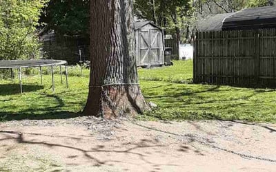 Photo of Valerie L.'s yard after getting landscaping in Portage, MI
