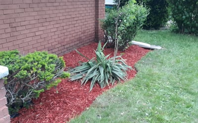 Photo of Ted B.'s yard after getting landscaping in Delta, OH