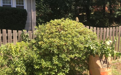 Photo of Christopher H.'s yard after getting landscaping in Brinklow, MD