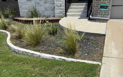 Photo of Ryan F.'s yard after getting landscaping in Manor, TX