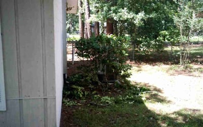 Photo of Tiffany O.'s yard after getting landscaping in Gainesville, FL
