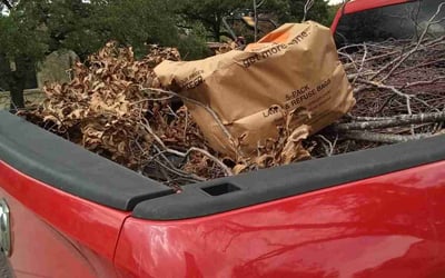 Photo of Carolyn C.'s yard after getting landscaping in Comfort, TX